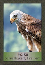 Falke
