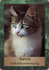 Katze