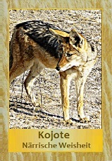 Kojote
