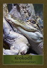 Krokodil