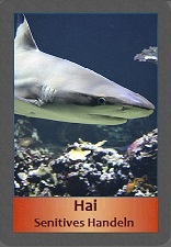 Hai