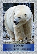 Eisb&auml;r