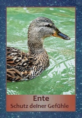 Ente