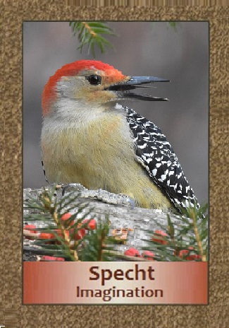 Specht