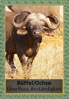 B&uuml;ffel