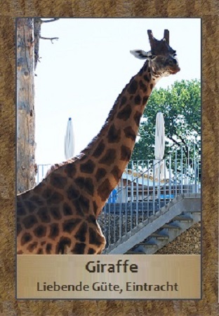 Giraffe