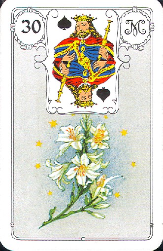 30 Lilie